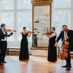 Click to view profile for Camerata South