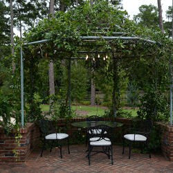 Click to view profile for Thomasville Garden Center