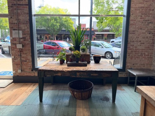 Click to view profile for Anna Lily's Potting Shed