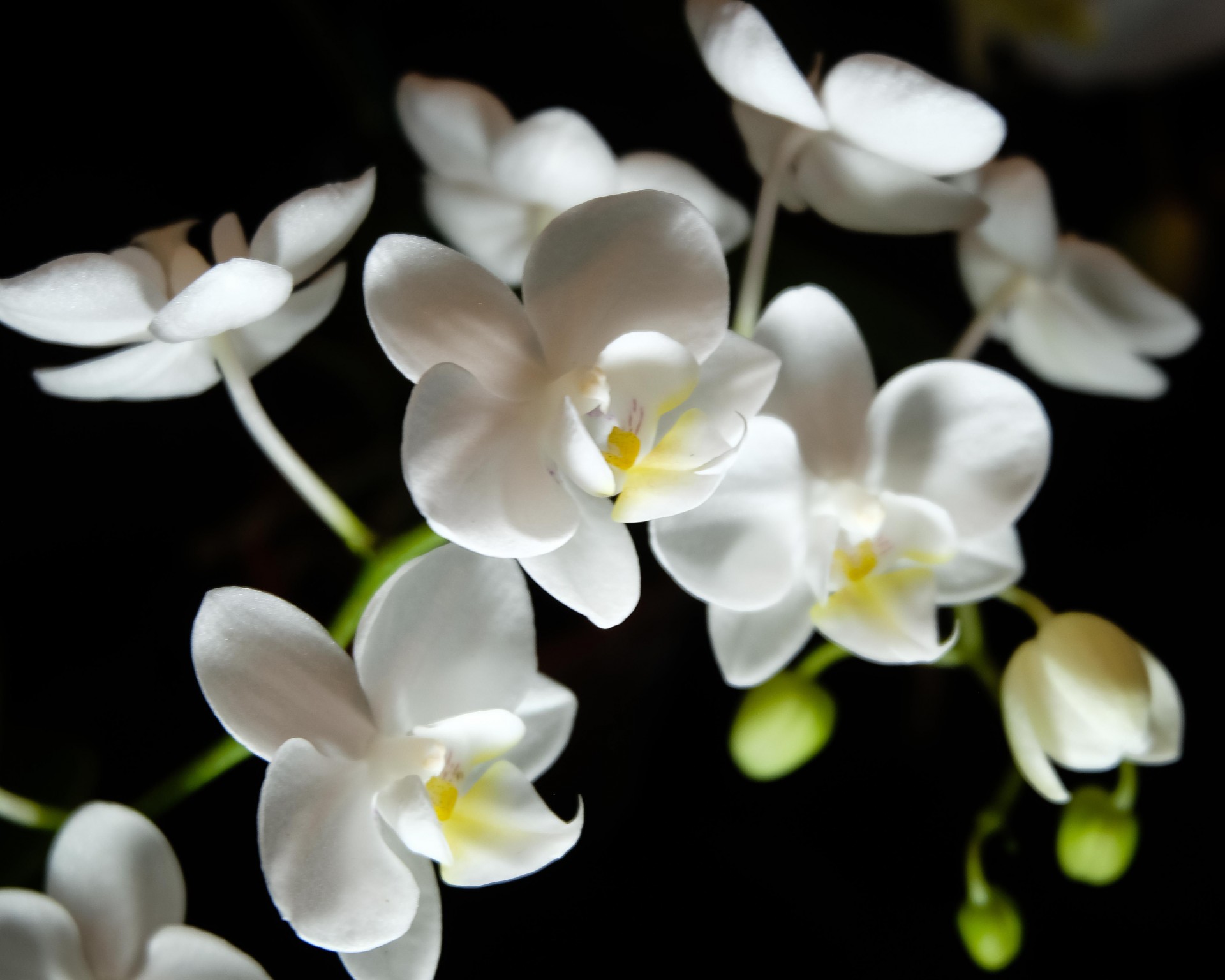Banner Slide 3