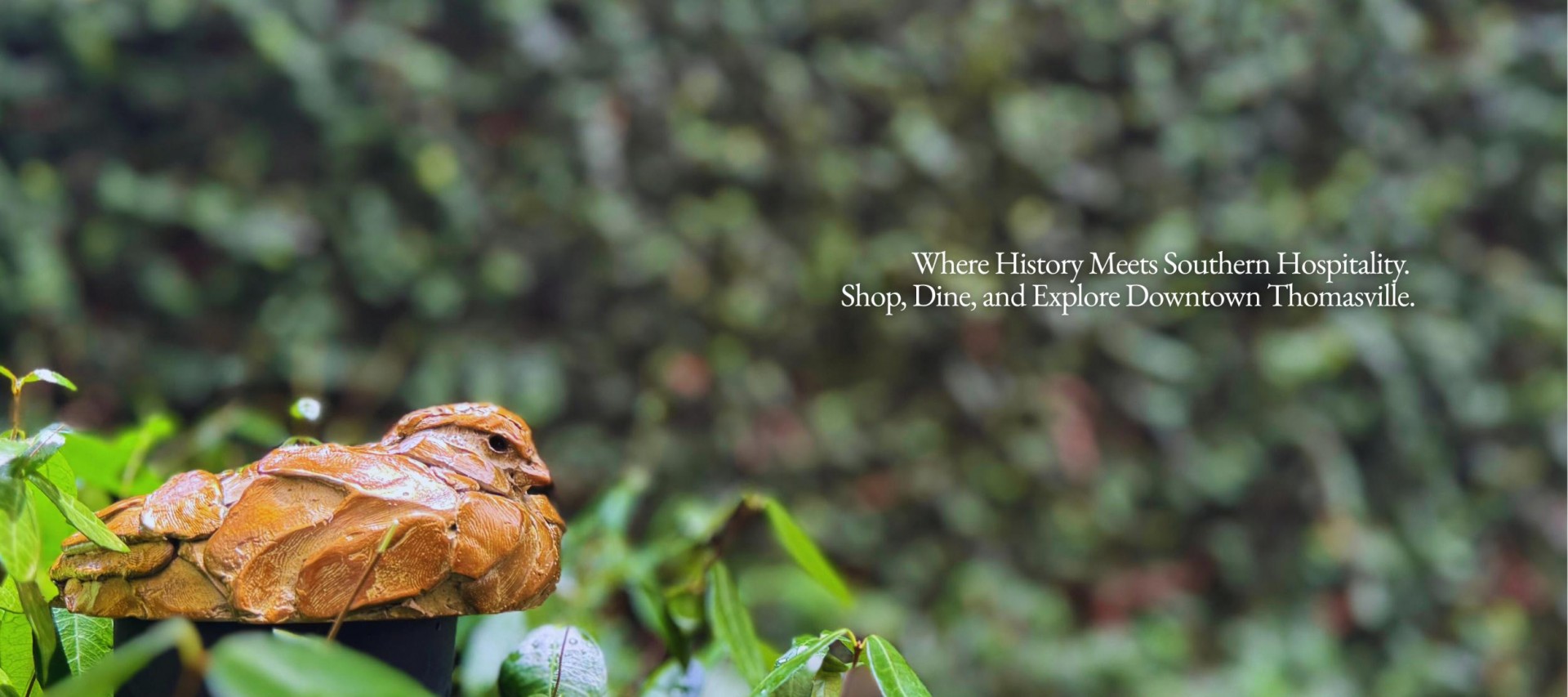 Banner Slide 1